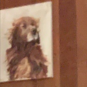 Meet your Posher, Katy